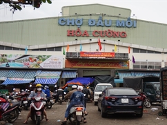 Đà Nẵng đầu tư dự án chợ đầu mối Hòa Phước huyện Hòa Vang